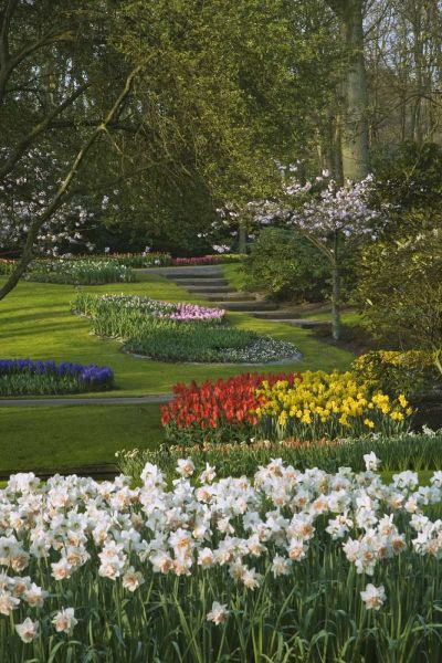 Netherlands, Lisse Manicured garden beds